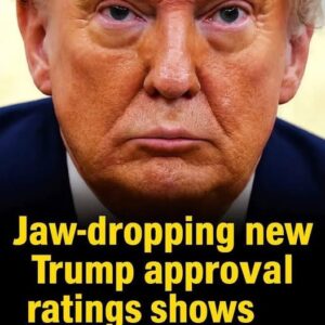 Confidence In Trump Collapses Fast