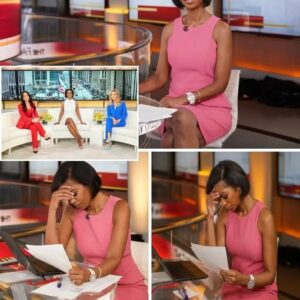 OFF AIR NOW!” — After 17 years of never missing a beat, Harris Faulkner suddenly …