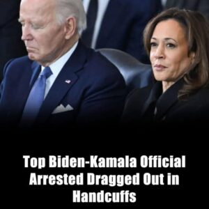 Stolen Power Inside Washington