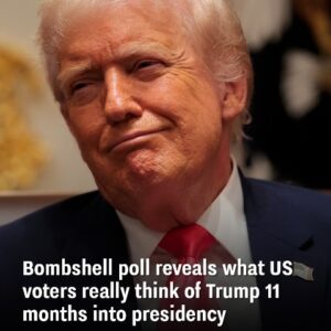 A bombshell survey uncovers US voters’ real opinions of Trump nearly a year into his term