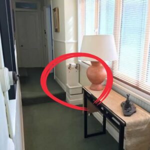 What Hallway Sinks Were Meant For