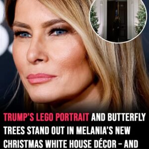 Melania turned the White House into a winter wonderland and everyone is saying the same thing