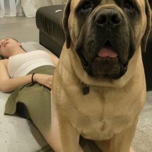 J0ven was hospitalized aft