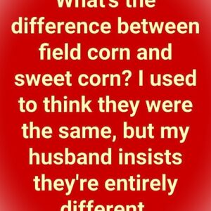 You’ve Been Seeing These Two Corns Your Whole Life—Here’s the Difference