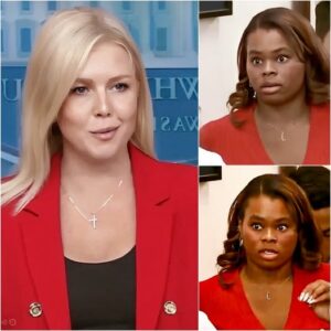 Karoline Leavitt Was Asked One Loaded Question—What She Said Next Left the Press Briefing Room Frozen