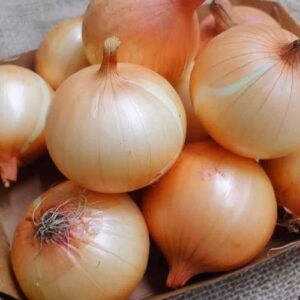 The Potential Benefits of Onions, According to Medical Experts
