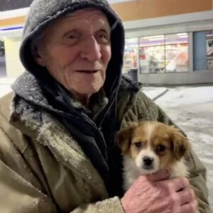 A Homeless Man Asked Me to Take Care of His Dog – Two Months Later, I Got a Letter That Left Me Speechless!