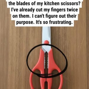 What’s the purpose of that jagged section on kitchen scissors?