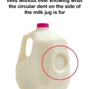 Entertainment The Hidden Purpose Behind That Little Dent on Your Milk Jug — And Why It Matters More Than You Think
