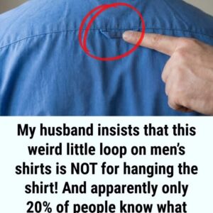 Why Button-Down Shirts Feature a Loop on the Back