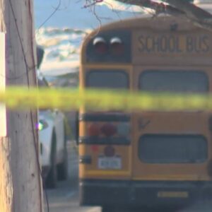 Kindergartner hit, by school bus in front of brother, officials say…See more