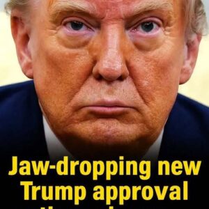 Recent Survey Shows Public Sentiment Toward Trump