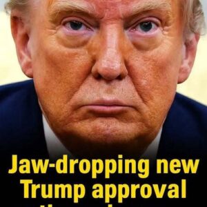 Recent Survey Shows Public Sentiment Toward Trump