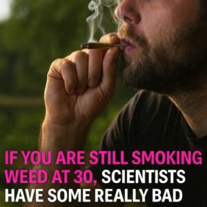 Your Lifestyle Today, Your Health Tomorrow: What Studies Reveal