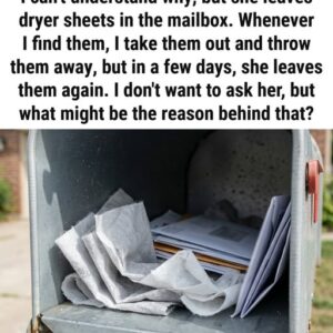 What It Could Indicate When a Dryer Sheet Shows Up in Your Mailbox