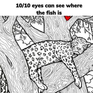 This tricky fish puzzle is baffling internet users