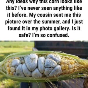 That Weird Bump on Corn Has a Name You Need to Know