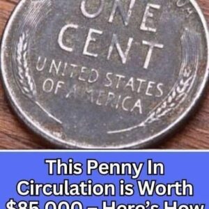Spot This Valuable Penny in Your Change and It Could Be Worth K