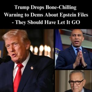 President Trump Drops Bone-Chilling Warning to Democrats About Jeffrey…