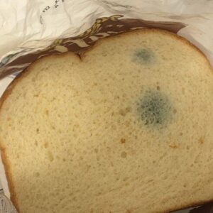 How to Tell When Bread Is No Longer Safe to Eat