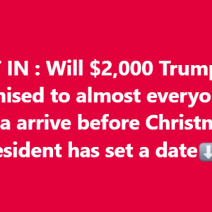 Will ,000 Trump has promised to almost everyone in America arrive before Christmas? The president has set a date
