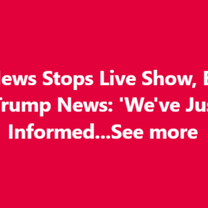 ABC Anchor Admits Truth As Trump’s DC Crackdown Yields Big Results