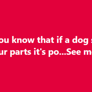 What It Really Means When Your Dog Sniffs Your Genital Area