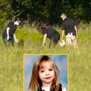 HT10. Missing Girl Found in the Woods — Her Mother Was the One Who Tried to Save Them All