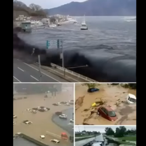 BREAKING NEWS : A 9.1 magnitude earthquake also caused a tsunami in the city of…