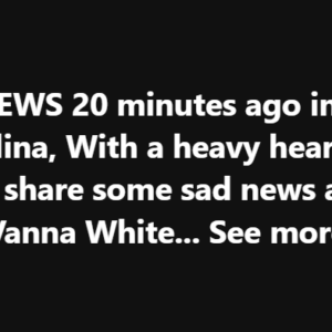 Vanna White Finally Breaks Silence On Ryan Seacrest Conflict