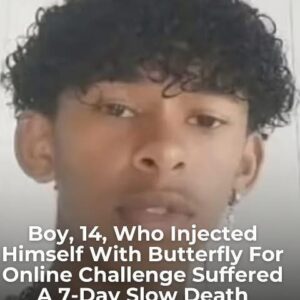 Boy, 14, who injected himself with butterfly