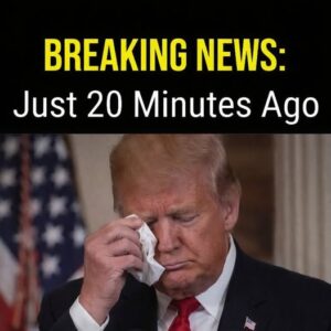 Breaking Developments: Trump Releases New Statements That Redirect National Attention