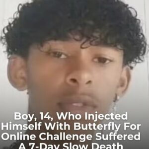 Boy, 14, who injected himself with butterfly
