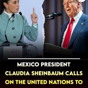 Mexican President Claudia Sheinbaum issue