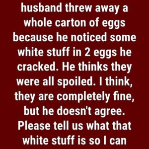 The Mystery Behind the White Stuff in Eggs