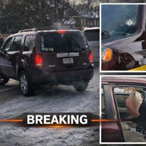 Dramatic footage shows ICE