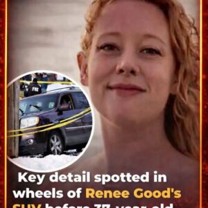 Key detail spotted in wheels of Renee Good’s SUV before 37-year-old mo