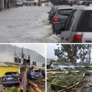 URGENT! Severe thunderstorm moving towards the city of…