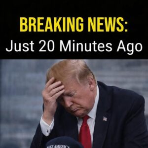 Former Secret Service agent and commentator