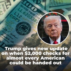 Donald Trump provides an update on the timing of ,000 checks for nearly all Americans
