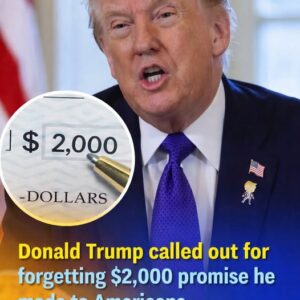 Trump Appears Uncertain About ,000 Tariff Dividend Commitment