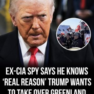 Former CIA spy says he knows ‘true reason’ Trump wants to take over Greenland