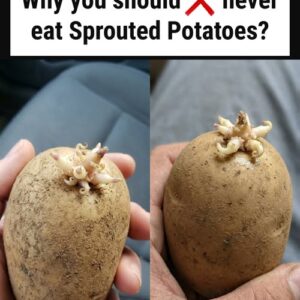 Eating Sprouted Potatoes: Is It Safe?
