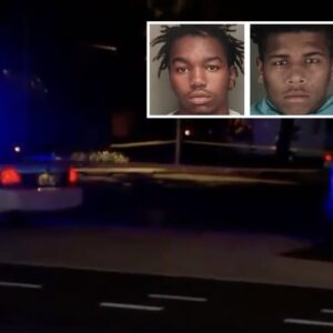 Two men attempt to carjack a defenseless woman in Florida and face the consequences