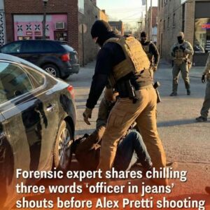 Expert Review Highlights Key Communication Moments Before Minneapolis Law Enforcement