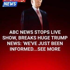 Abc anchor admits truth as trump’s dc crackdown creates a city