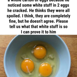 What exactly is the white part of an egg?