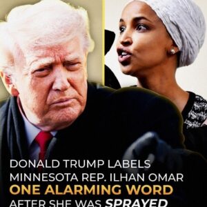 Ilhan Omar Targeted at Minnesota Town Hall, Suspect Identified