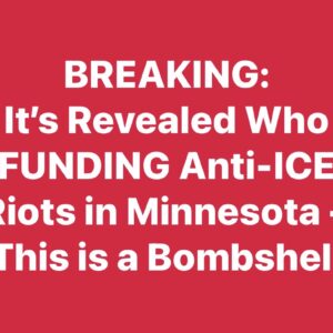 Here’s Who’s Behind Minneapolis ICE Resistance Movement: Report