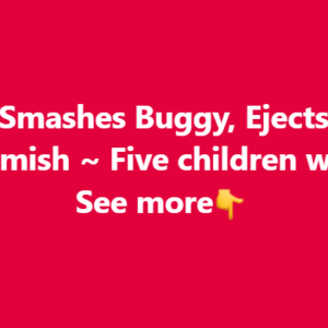 💔Jeep Smashes Buggy, Ejects Family of 9 Amish ~ Five children were…. See more👇